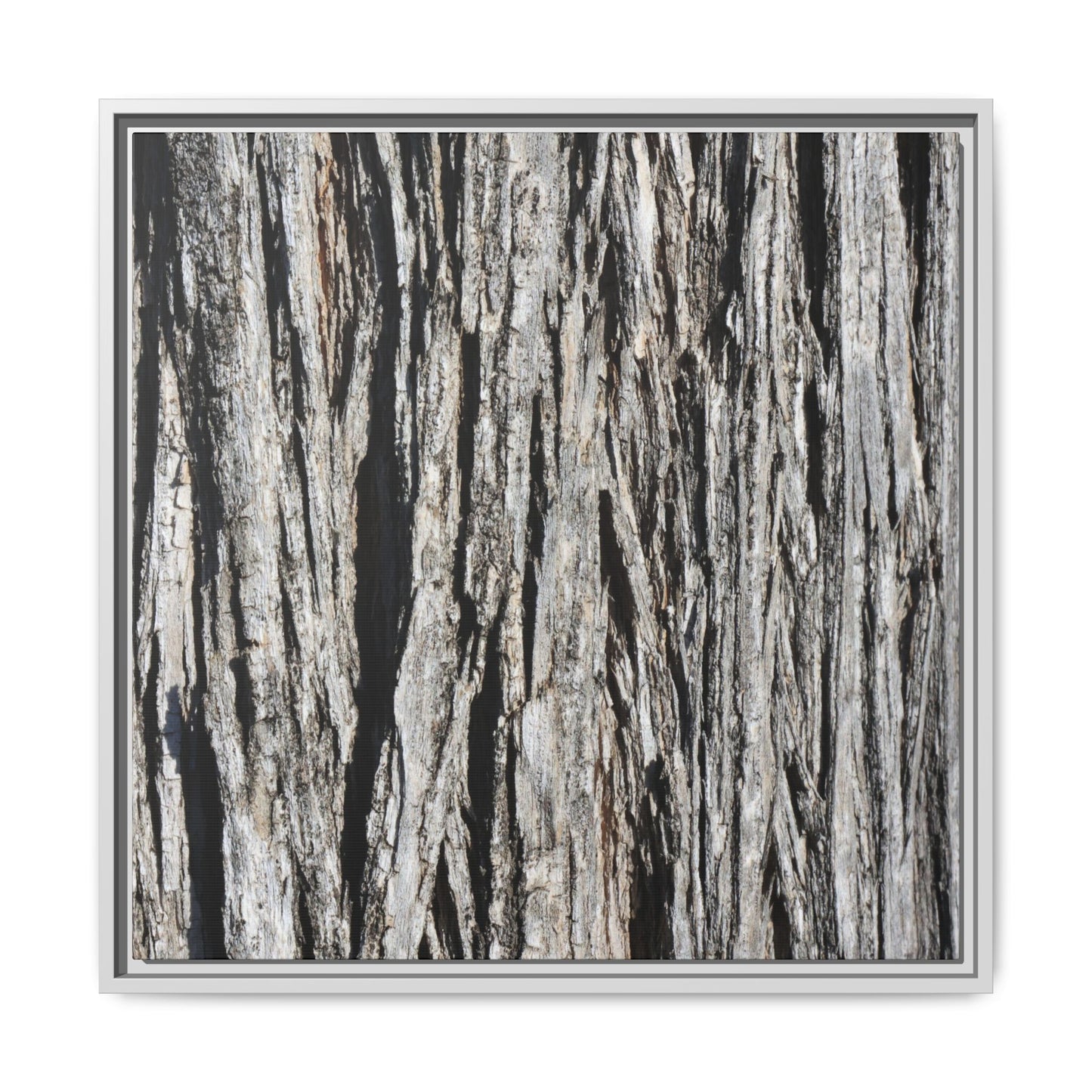 Nature's Abstract - Unique Stretched Canvas Wall Art - Art By Earth