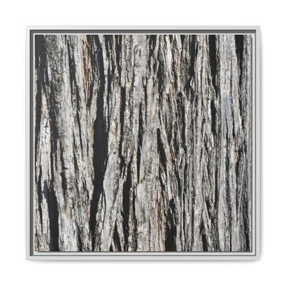 Nature's Abstract - Unique Stretched Canvas Wall Art - Art By Earth