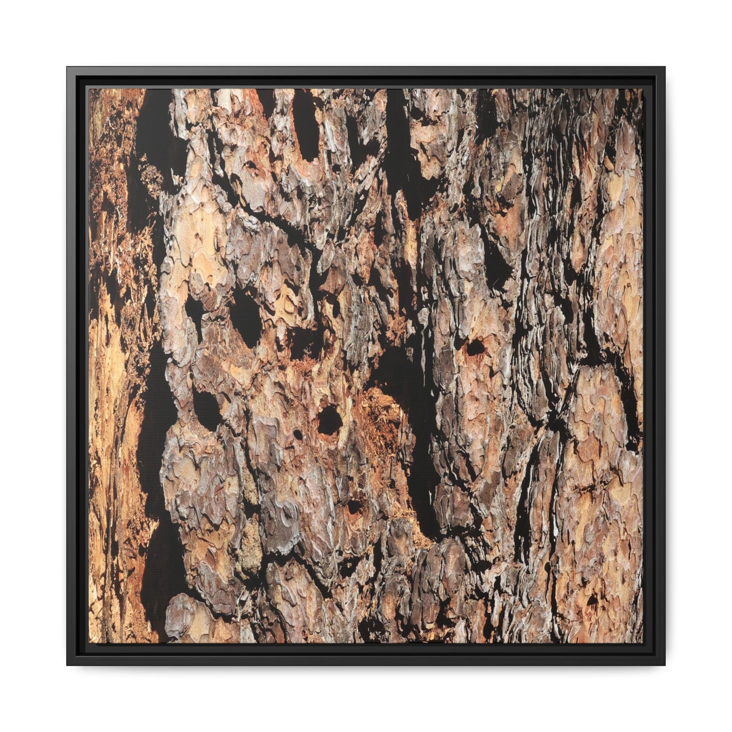 Rugged Rhythms - Unique Stretched Canvas Wall Art - Art By Earth