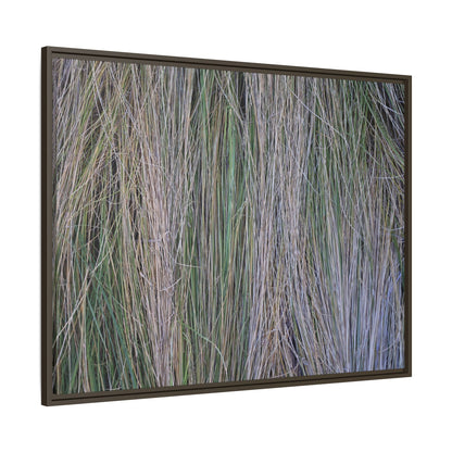 Whispers of Silver Grass - Unique Stretched Canvas Wall Art - Art By Earth