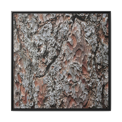 Bark Texture Symphony - Unique Stretched Canvas Wall Art - Art By Earth