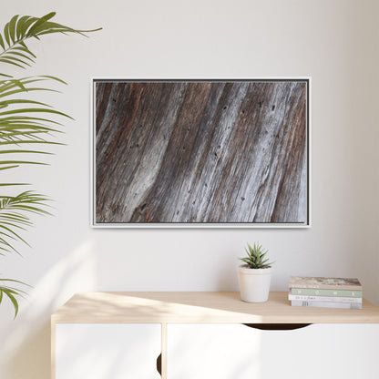 Aged Timber Texture - Unique Stretched Canvas Wall Art - Art By Earth