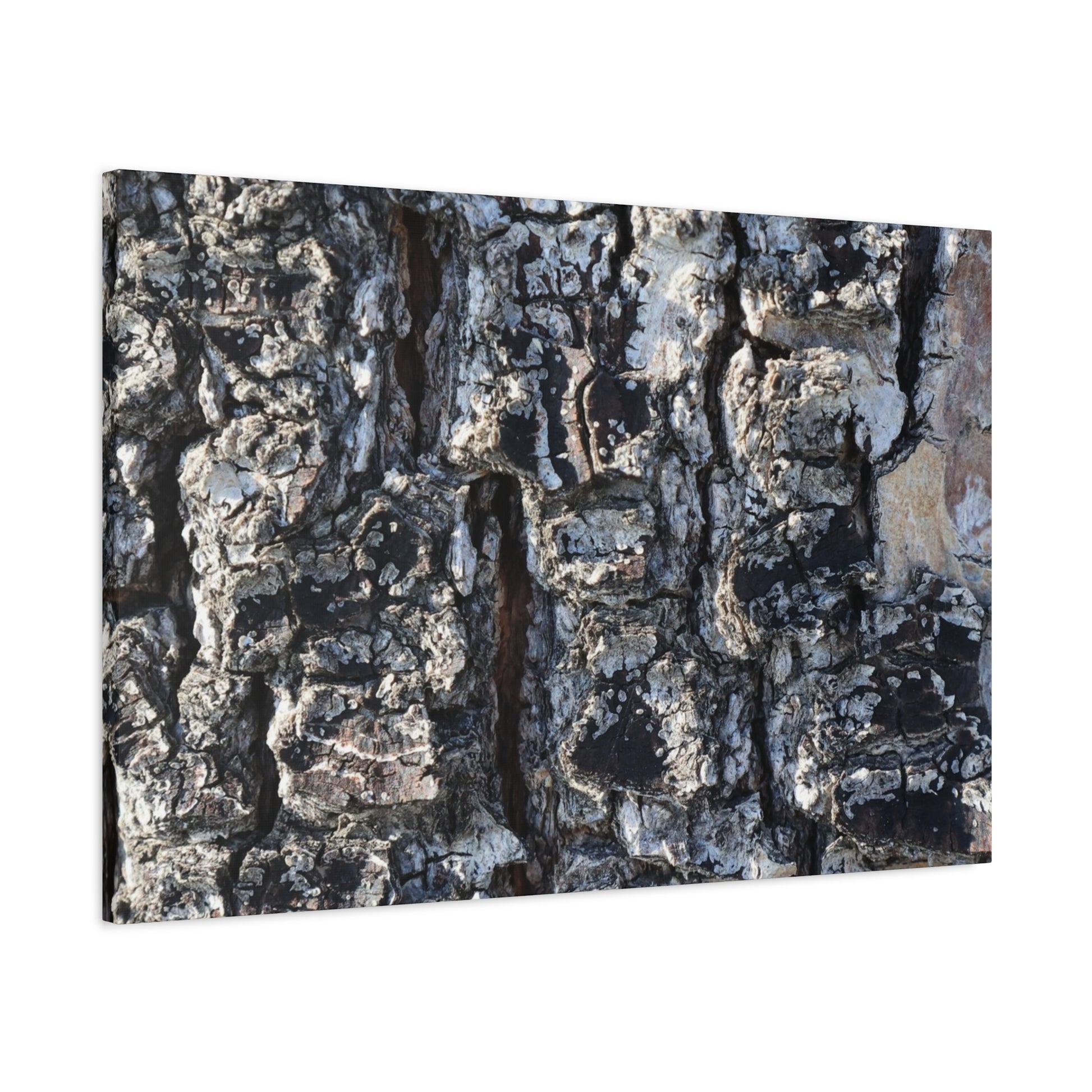 Textured Whispers of the Ancient Tree - Unique Frameless Canvas Wall Art - Art By Earth