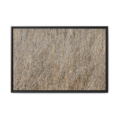 Dry Straw Symphony - Unique Stretched Canvas Wall Art - Art By Earth