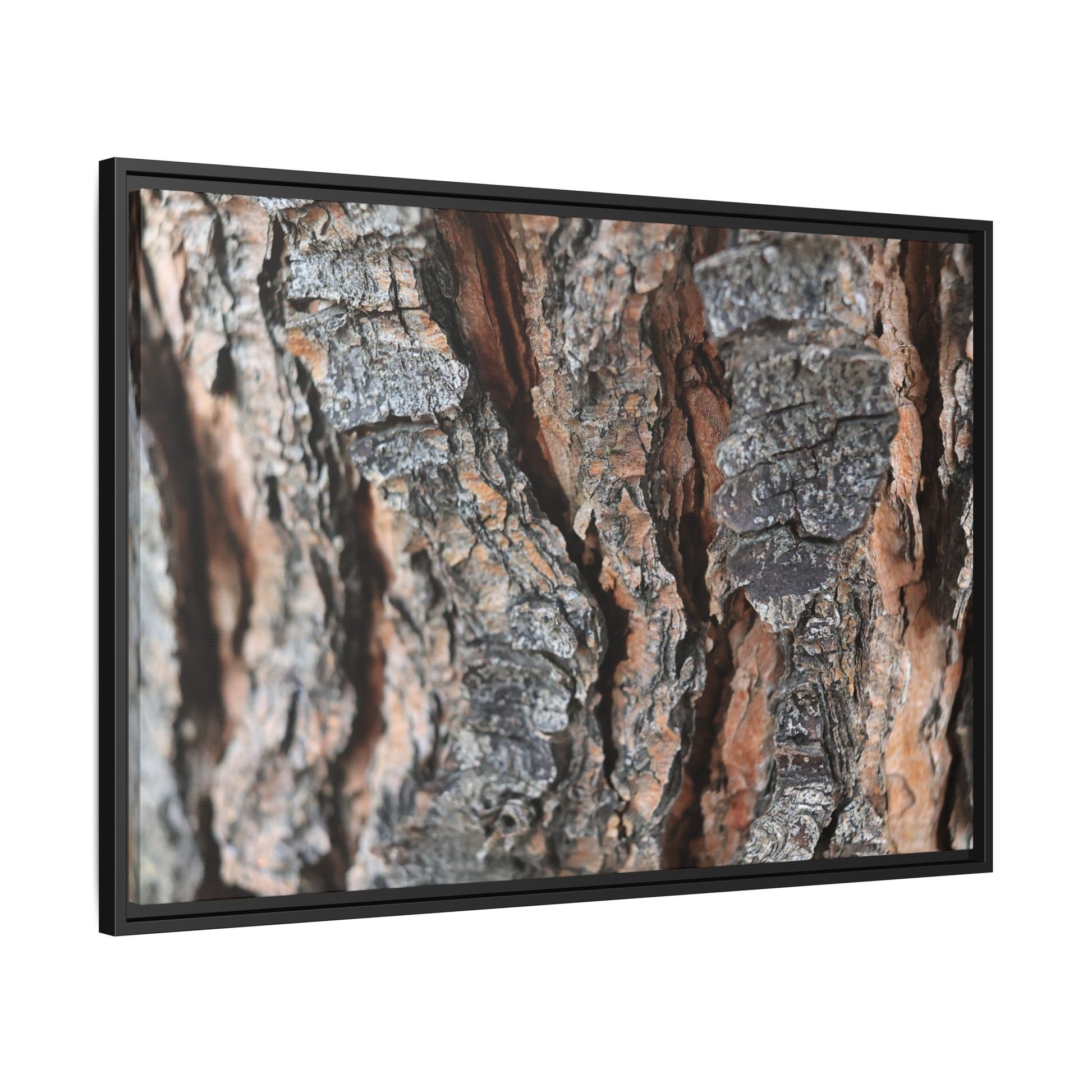 Fractured Nature - Unique Stretched Canvas Wall Art - Art By Earth