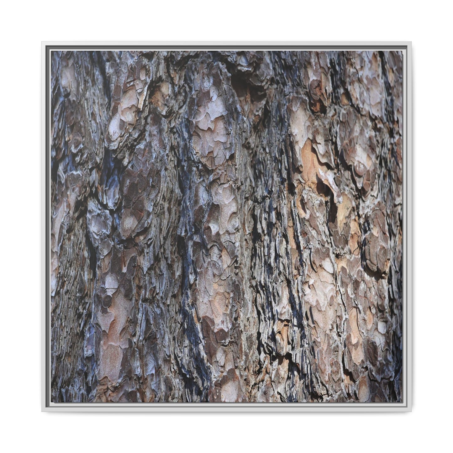 Weathered Patterns - Unique Stretched Canvas Wall Art - Art By Earth