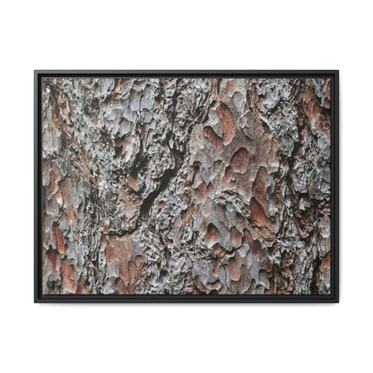 Bark Texture Symphony - Unique Stretched Canvas Wall Art - Art By Earth