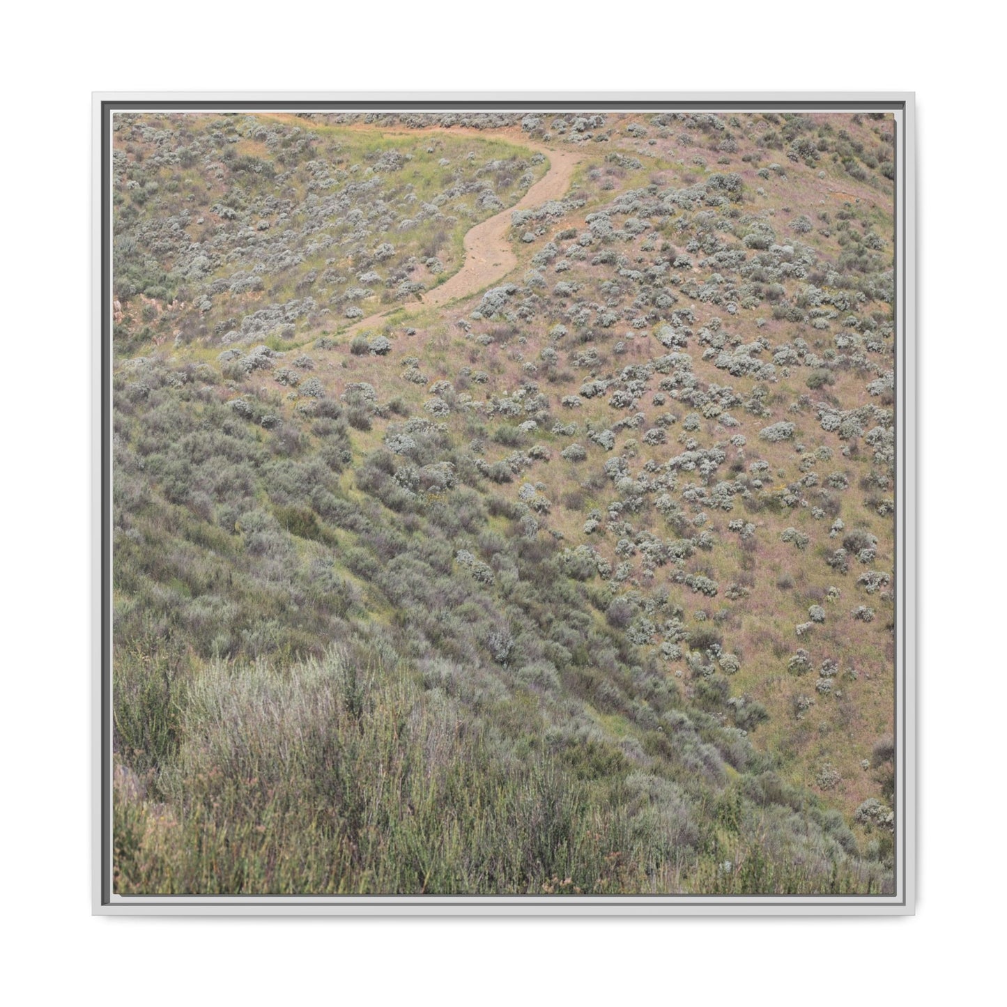 Arid Landscape with Winding Path - Unique Stretched Canvas Wall Art - Art By Earth