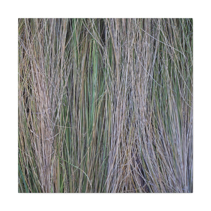 Whispers of Grass - Unique Frameless Canvas Wall Art - Art By Earth