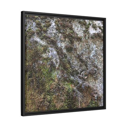 Mossy Whispers - Unique Stretched Canvas Wall Art - Art By Earth