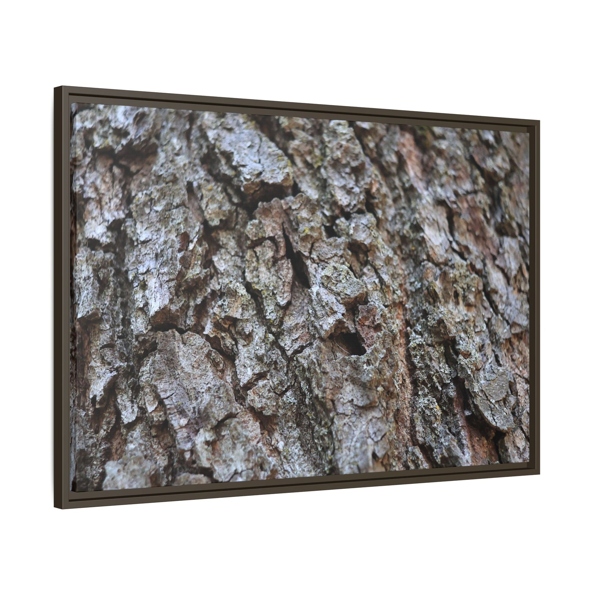 Woodland Canvas - Unique Stretched Canvas Wall Art - Art By Earth