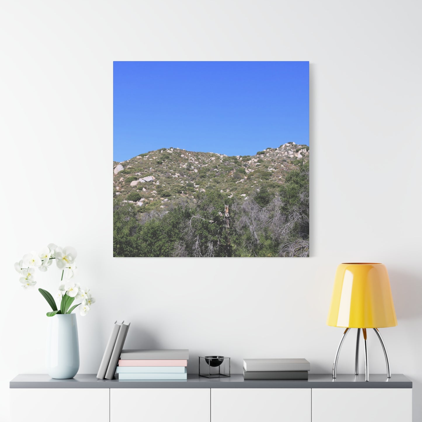 Rocky Hills with Desert Vegetation - Unique Frameless Canvas Wall Art