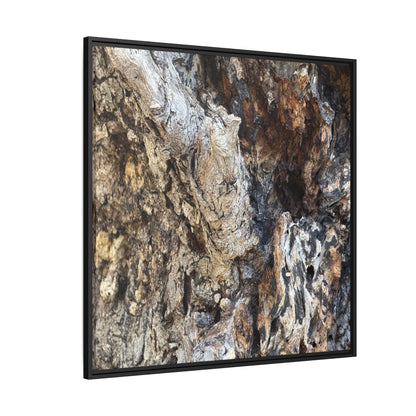 Ancient Tree Texture - Unique Stretched Canvas Wall Art - Art By Earth
