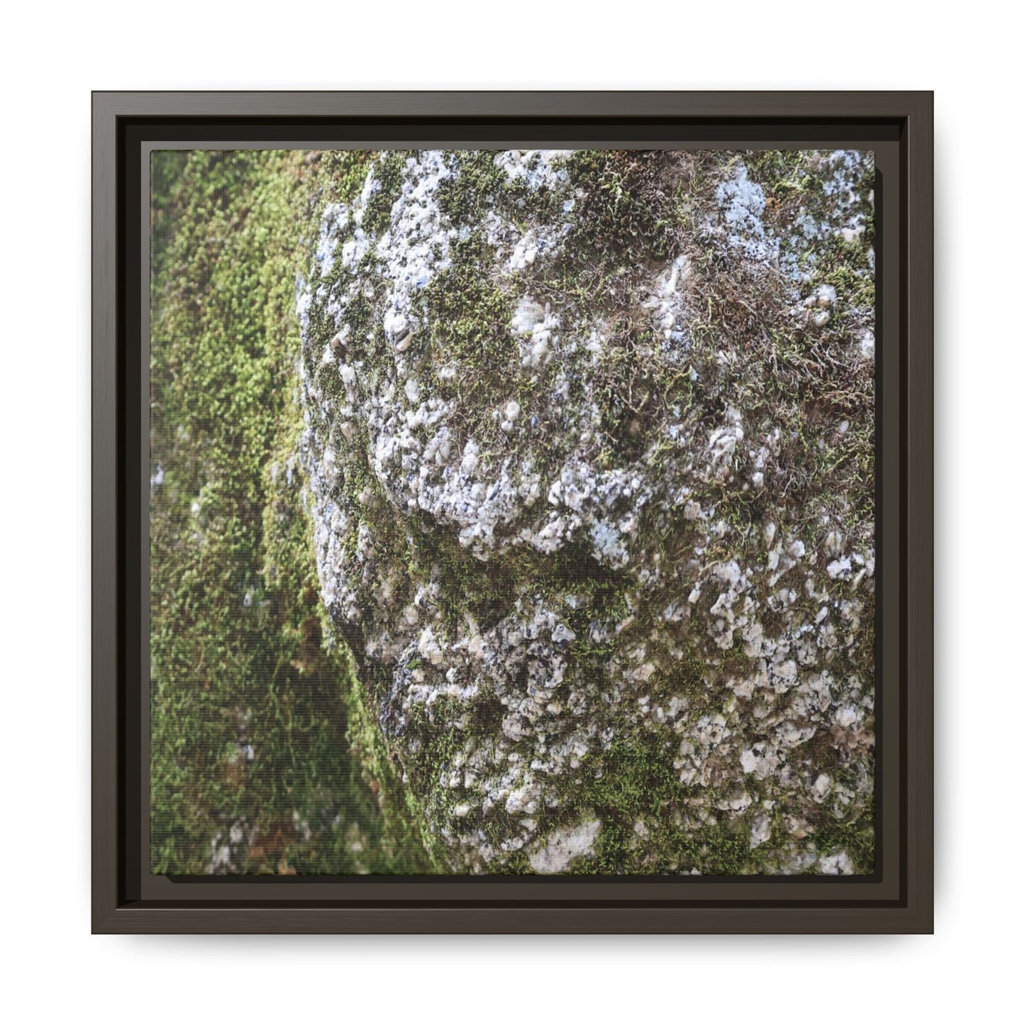 Lichen Landscape - Unique Stretched Canvas Wall Art - Art By Earth
