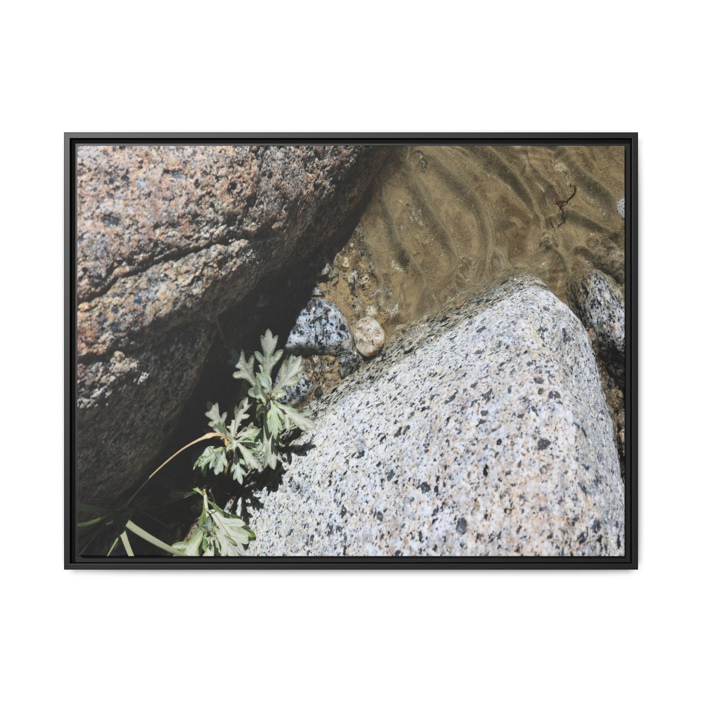 Resilience in Stone - Unique Stretched Canvas Wall Art - Art By Earth