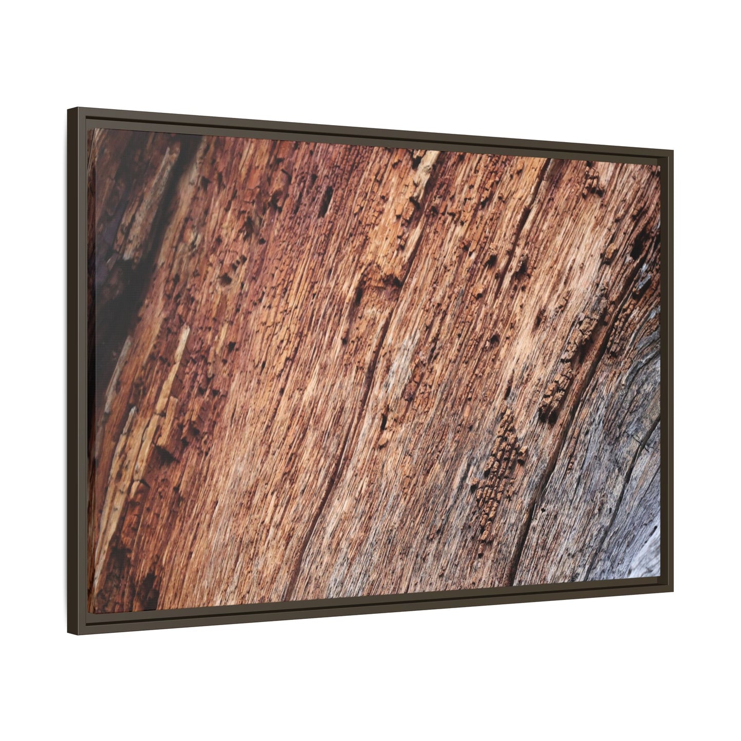 Time's Mark - Unique Stretched Canvas Wall Art - Art By Earth