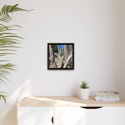 Forest Sentinels - Unique Stretched Canvas Wall Art