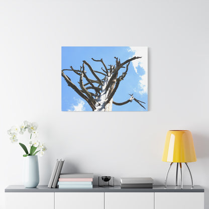 Skeletal Branches Reaching - Unique Frameless Canvas Wall Art - Art By Earth