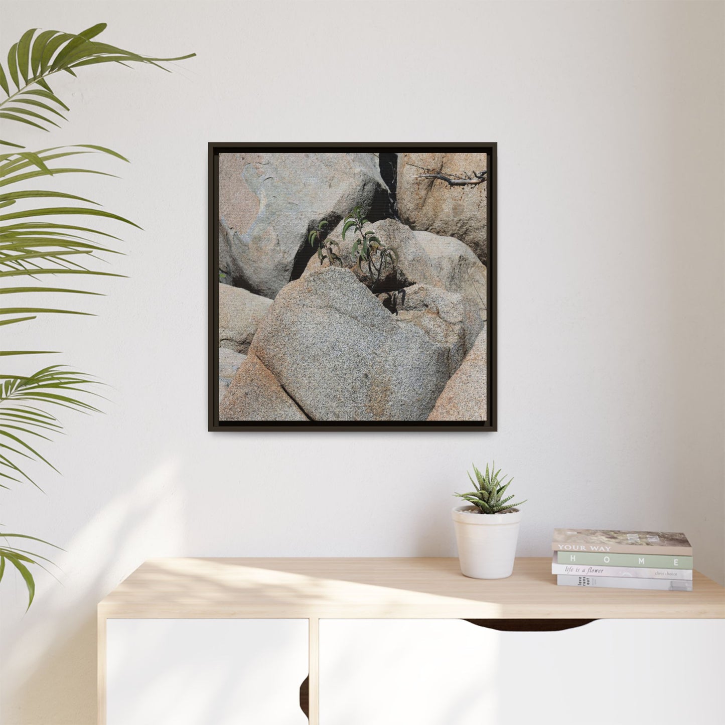 Desert Plant Thriving Among Rocks - Unique Stretched Canvas Wall Art