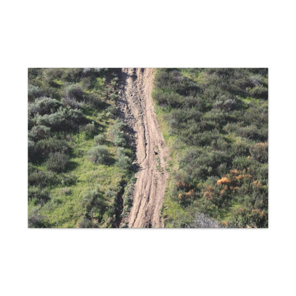 Straight Road Cutting Through Wilderness - Unique Frameless Canvas Wall Art - Art By Earth