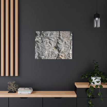 Elemental Canvas - Unique Frameless Canvas Wall Art - Art By Earth