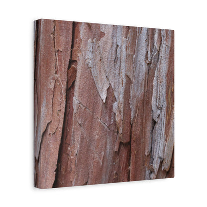 Peeling Paint - Unique Frameless Canvas Wall Art - Art By Earth