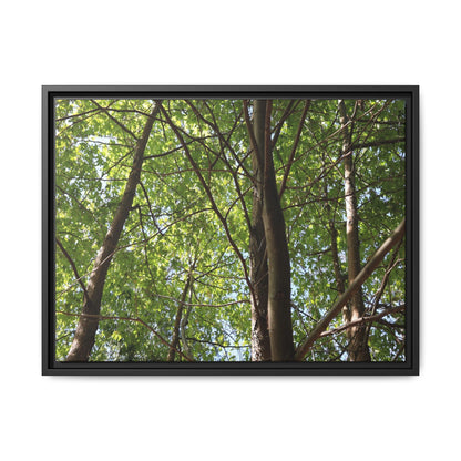 Forest Branches - Unique Stretched Canvas Wall Art