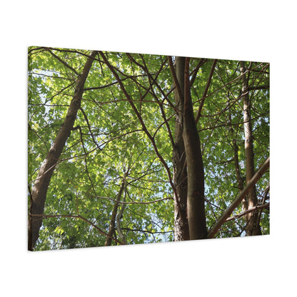 Canopy of Light - Unique Frameless Canvas Wall Art