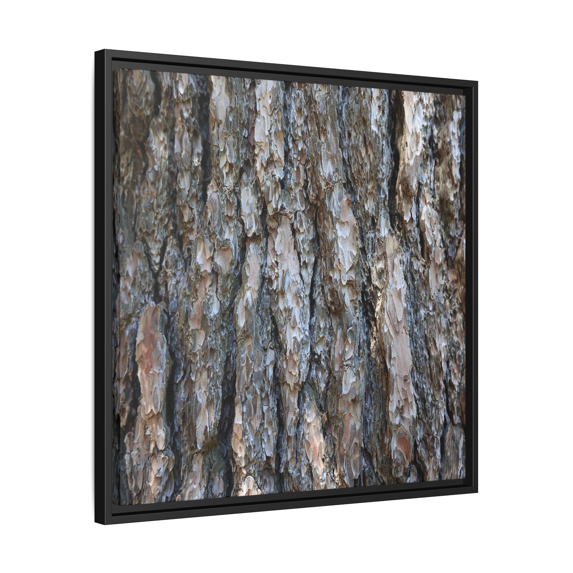 Bark Whispers - Unique Stretched Canvas Wall Art - Art By Earth