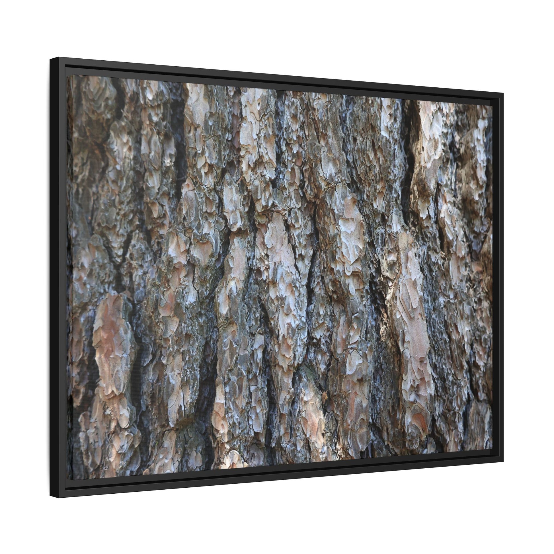 Bark Whispers - Unique Stretched Canvas Wall Art - Art By Earth