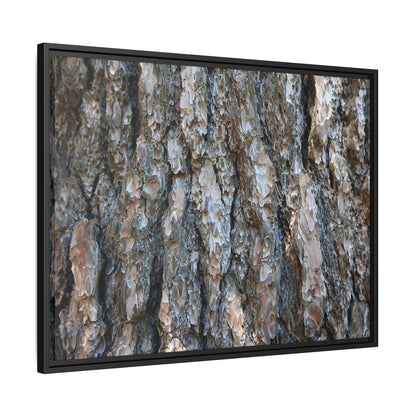 Bark Whispers - Unique Stretched Canvas Wall Art - Art By Earth