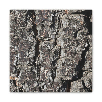 Cracked Skin of Earth - Unique Frameless Canvas Wall Art - Art By Earth