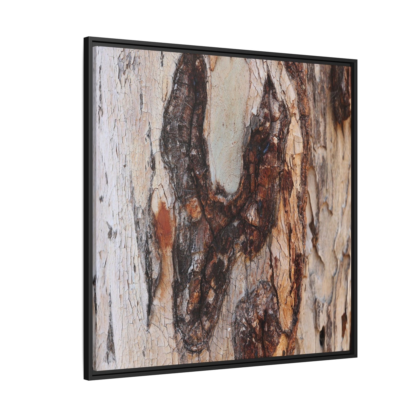 Texture of Time - Unique Stretched Canvas Wall Art - Art By Earth