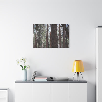 Vertical Sentinels - Unique Frameless Canvas Wall Art - Art By Earth