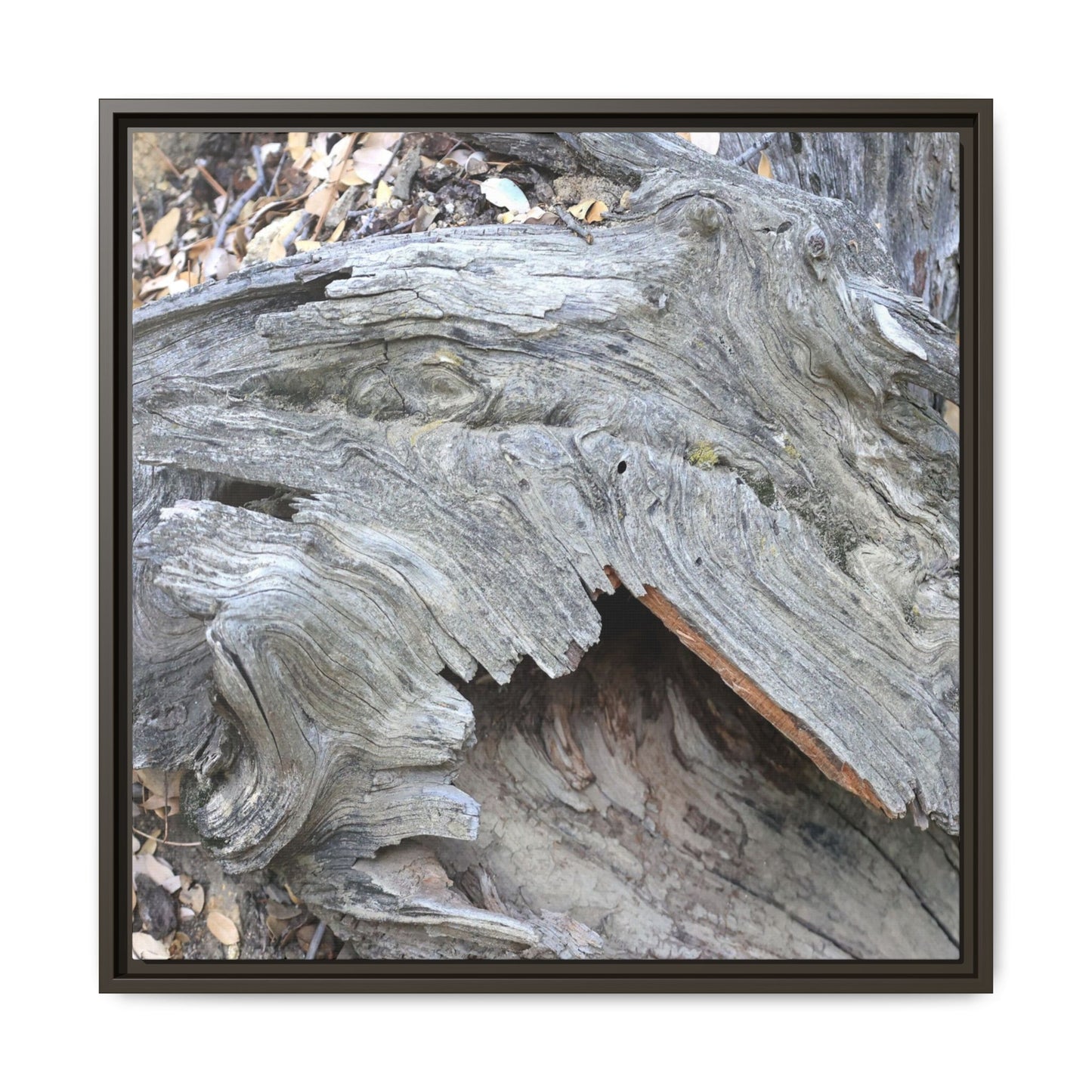 Driftwood Dreams - Unique Stretched Canvas Wall Art - Art By Earth