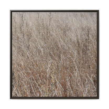Dry Grass Symphony - Unique Stretched Canvas Wall Art - Art By Earth