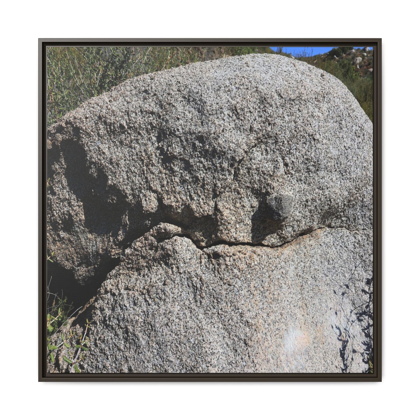 Stone Skull in Desert - Unique Stretched Canvas Wall Art