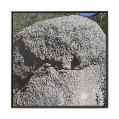 Stone Skull in Desert - Unique Stretched Canvas Wall Art