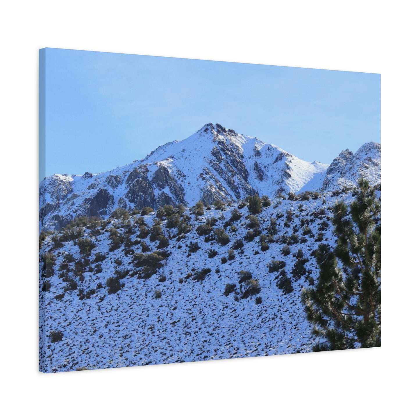 Snowy Peaks and Stoic Pines - Unique Frameless Canvas Wall Art