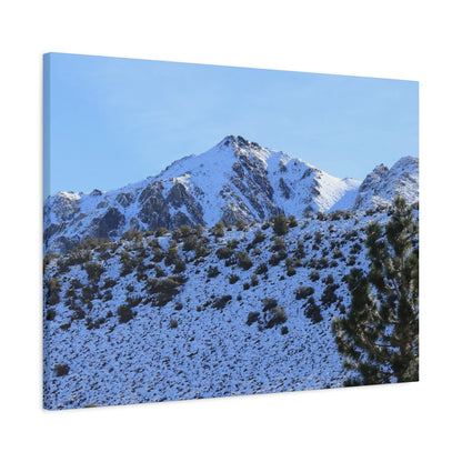 Snowy Peaks and Stoic Pines - Unique Frameless Canvas Wall Art