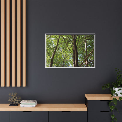 Forest Branches - Unique Stretched Canvas Wall Art