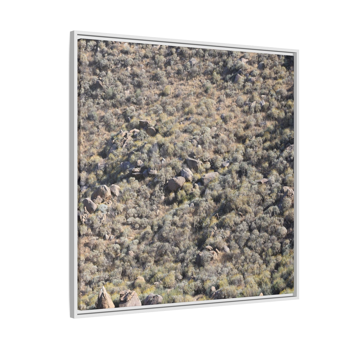 Arid Terrain Study - Unique Stretched Canvas Wall Art - Art By Earth
