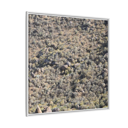 Arid Terrain Study - Unique Stretched Canvas Wall Art - Art By Earth