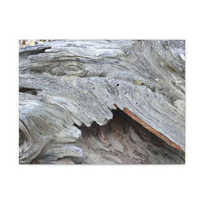 Whispers of Ancient Wood - Unique Frameless Canvas Wall Art - Art By Earth