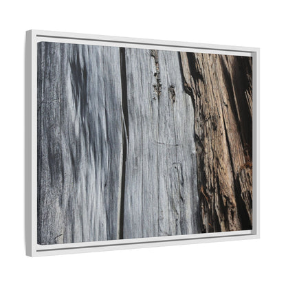 Wood's Lament - Unique Stretched Canvas Wall Art - Art By Earth