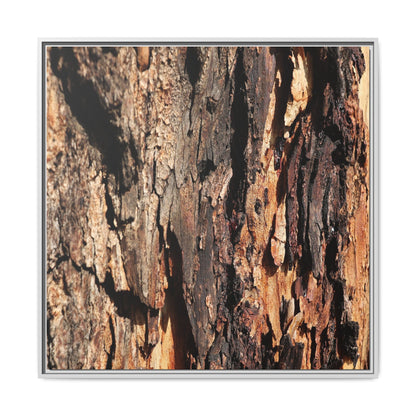 Rugged Beauty - Unique Stretched Canvas Wall Art - Art By Earth