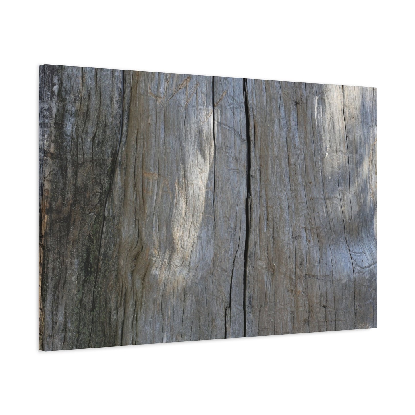 Split Log - Unique Frameless Canvas Wall Art