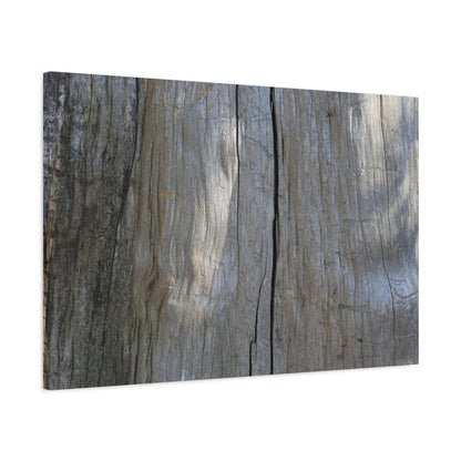 Split Log - Unique Frameless Canvas Wall Art