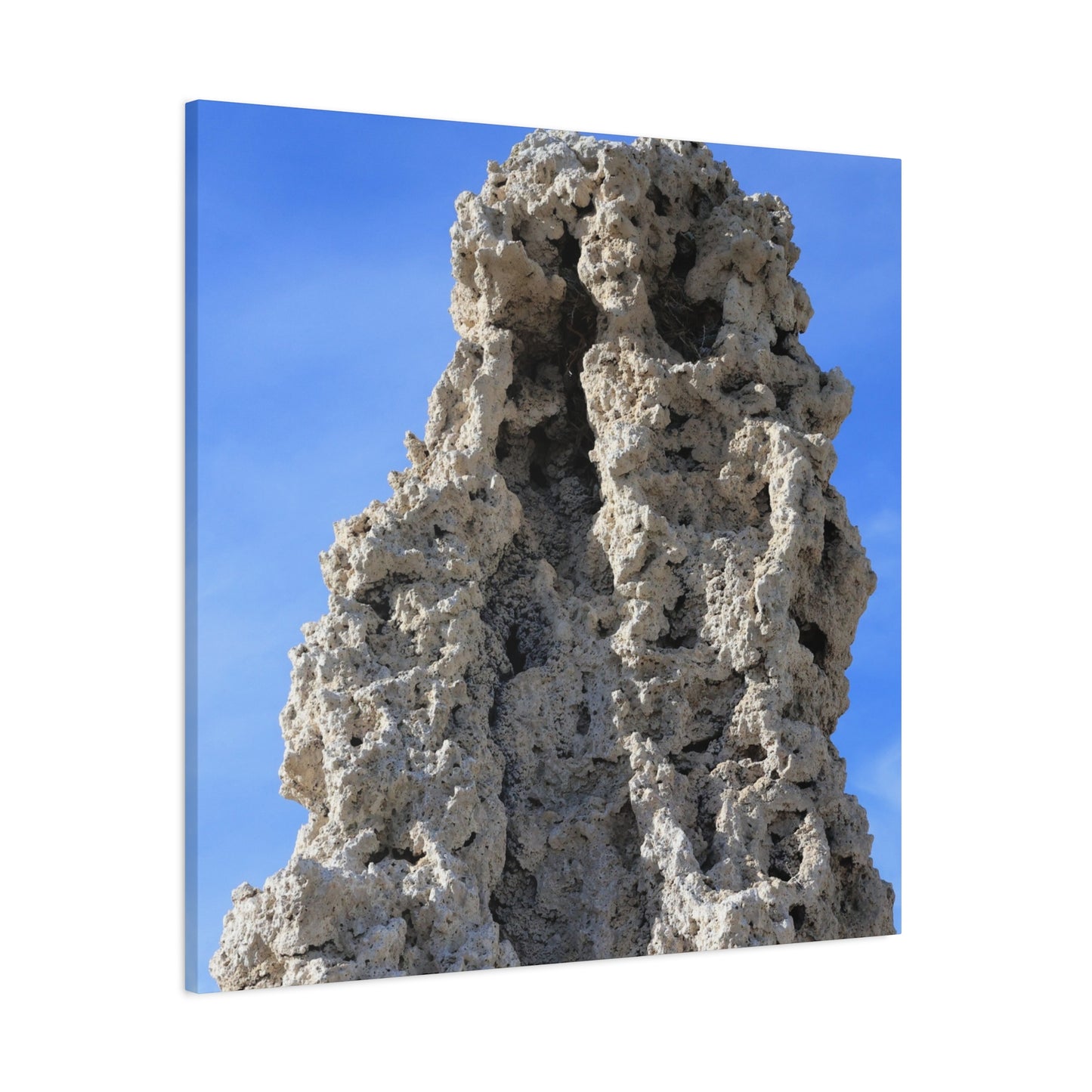 Calcified Whispers - Unique Frameless Canvas Wall Art