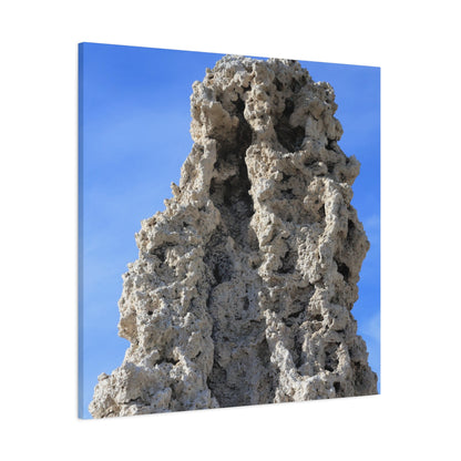 Calcified Whispers - Unique Frameless Canvas Wall Art